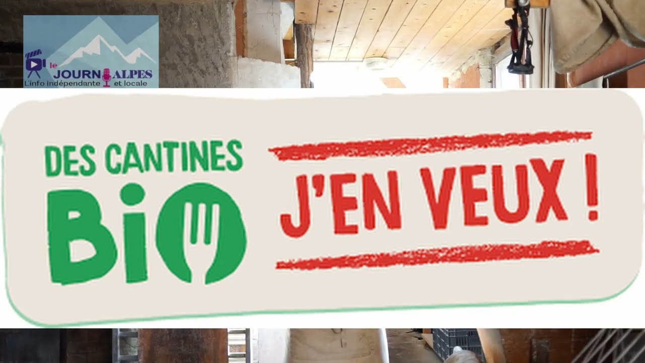 Alimentation bio : Que peuvent faire les mairies ?